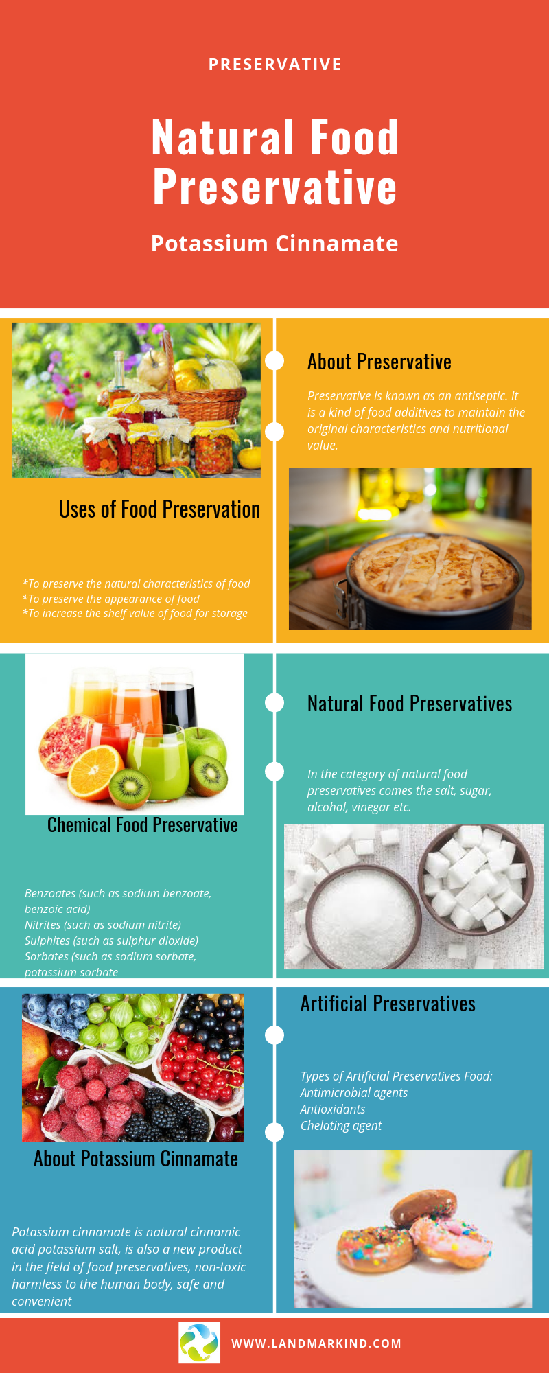 Potassium Cinnamate - Natural Food Preservative - 1
