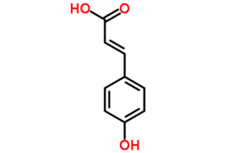 P-Hydroxycinnamic-Acid-Supplier.png